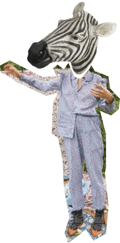 ChicaCebra